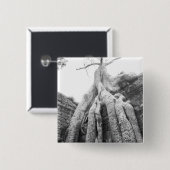 アンコールカンボジアツリータプローム 缶バッジ (正面&裏面)