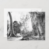 アンコールカンボジア、詳細タプローム ポストカード (正面/裏面)