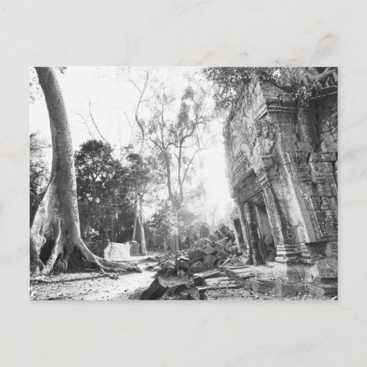 アンコールカンボジア、詳細タプローム ポストカード (正面)