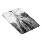 アンコールカンボジア、Tree Ta Prohm マグネット (右側)