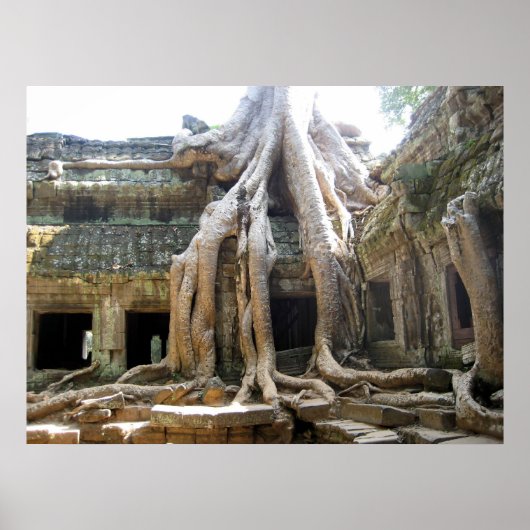 アンコールツリー ポスター (正面)