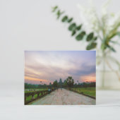 アンコールワットへの道,カンボジアポストカード ポストカード (スタンド正面)