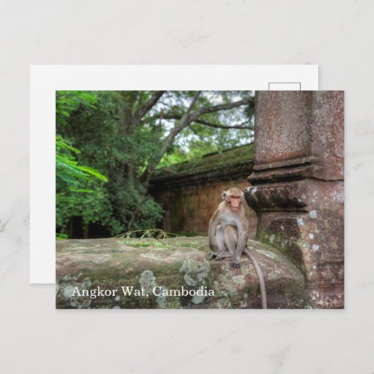 アンコールワットカンボジア ポストカード (正面/裏面)