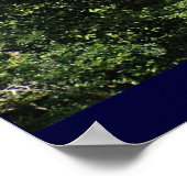 アンコールワット ポスター (角)