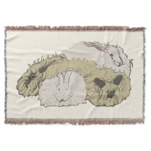 アンゴラのウサギ