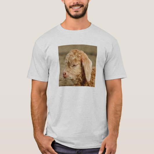 アンゴラのヤギの子供-大人の軽いTシャツ Tシャツ (正面)