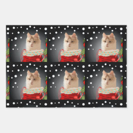 アンゴラキャットホリデイ ラッピングペーパーシート
