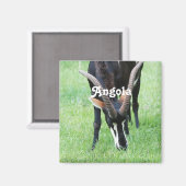 アンゴラセーブルアンテロープ マグネット (正面/裏面)