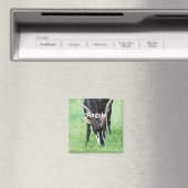 アンゴラセーブルアンテロープ マグネット (インサイチュ (食洗機))