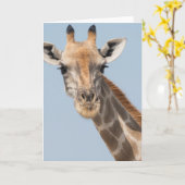 アンゴランキリンポートレート カード (黄色い花)