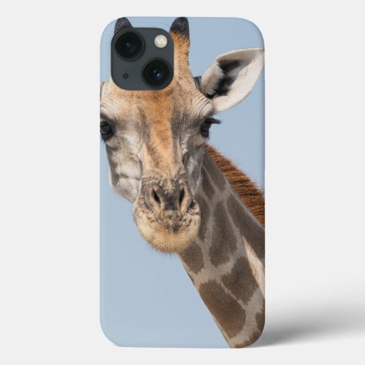 アンゴランキリンポートレート Case-Mate iPhoneケース (裏面)