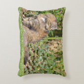 アンゴラ猫 アクセントクッション (正面(垂直))