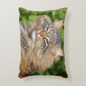 アンゴラ猫 アクセントクッション (正面(垂直))