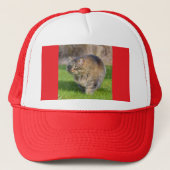 アンゴラ猫 キャップ (正面)