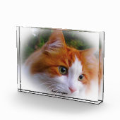 アンゴラ猫 フォトブロック (右)