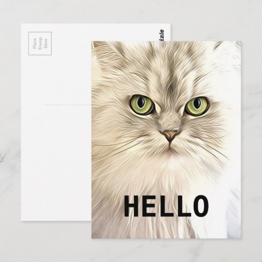 アンゴラ猫 ポストカード (正面/裏面)