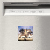 アンサンワヘグル磁石 マグネット (インサイチュ (食洗機))