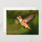 アンザカリフォルニアハミングバードポストカード ポストカード (正面/裏面)