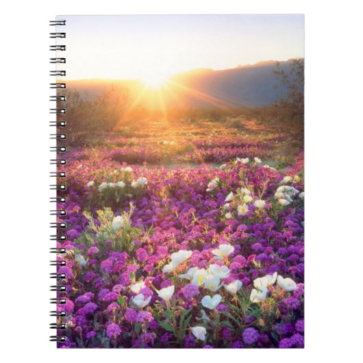 アンザ・ボレゴ砂漠の日の入り時の野の花 ノートブック (正面)