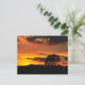 アンザCAサンセット ポストカード (スタンド正面)