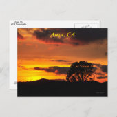 アンザCAサンセット ポストカード (正面/裏面)