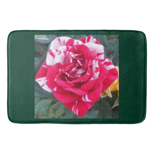 アンシア バスマット (正面)