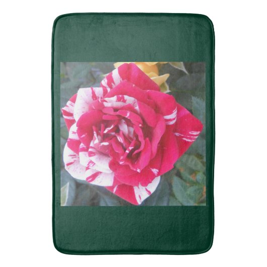 アンシア バスマット (正面縦)