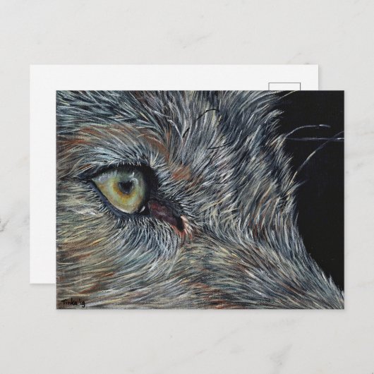 アンシカアートウルフ ポストカード (正面/裏面)