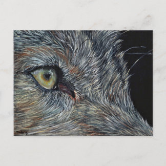 アンシカアートウルフ ポストカード