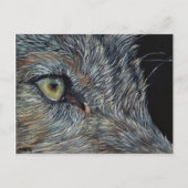 アンシカアートウルフ ポストカード (正面)