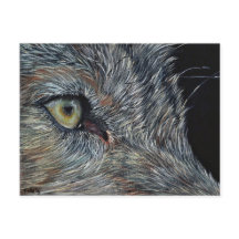 アンシカアートウルフ