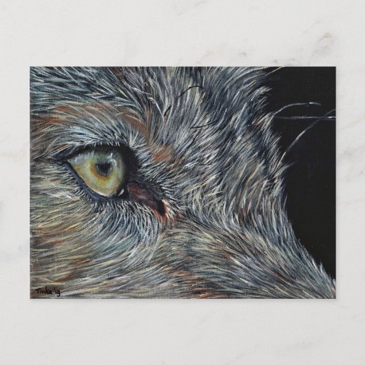 アンシカアートウルフ ポストカード (正面)