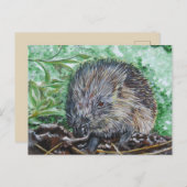 アンシカアートエゲル。 ポストカード (正面/裏面)