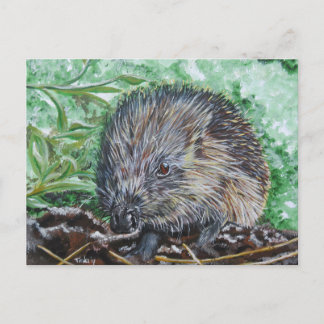 アンシカアートエゲル。 ポストカード