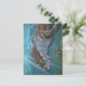 アンシカアートオッター。 ポストカード (スタンド正面)