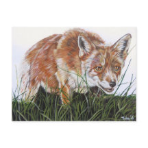 アンシカアートヴォス。