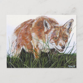 アンシカアートヴォス。 ポストカード