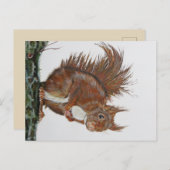 アンシカアール・エケホーン。 ポストカード (正面/裏面)