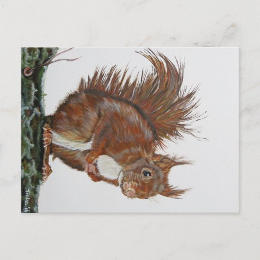 アンシカアール・エケホーン。 ポストカード (正面)