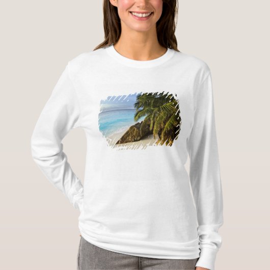 アンシ・ヴィクトリナ・ビーチ Tシャツ (正面)