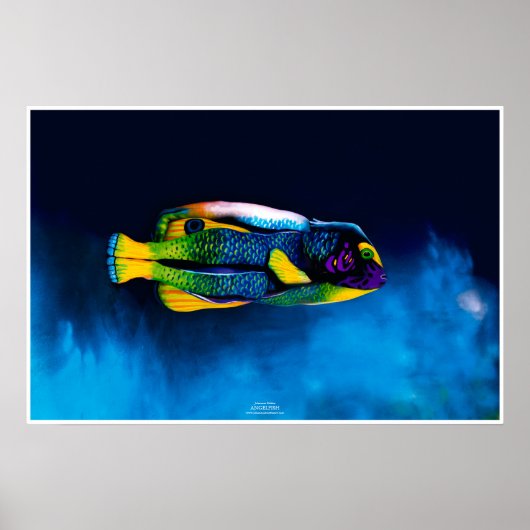 アンジェフィッシュバイヨハネスストーター ポスター (正面)