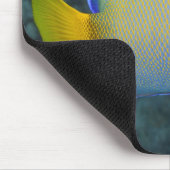 アンジェフィッシュ女王 マウスパッド (コーナー)