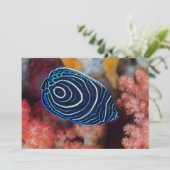 アンジェフィッシュ皇帝の接写 カード (スタンド正面)