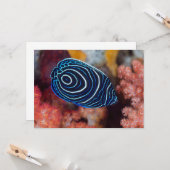 アンジェフィッシュ皇帝の接写 カード (正面/裏面インサイチュ)