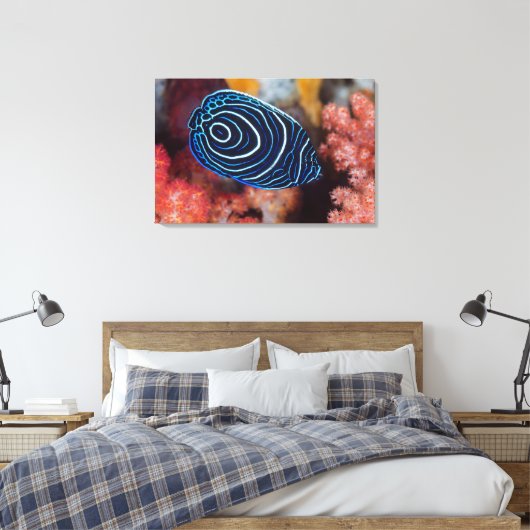 アンジェフィッシュ皇帝の接写 キャンバスプリント (インサイチュ (寝室))