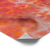 アンジェフィッシュ皇帝の接写 ポスター (角)