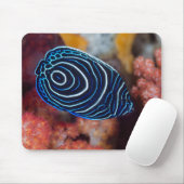 アンジェフィッシュ皇帝の接写 マウスパッド (マウス)