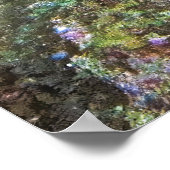 アンジェフィッシュ ポスター (角)