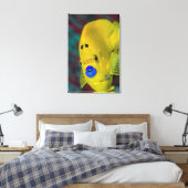 アンジェルフィッシュのクローズアップ キャンバスプリント (インサイチュ (寝室))