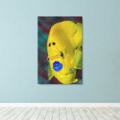 アンジェルフィッシュのクローズアップ キャンバスプリント (インサイチュ (ウッドフロア))